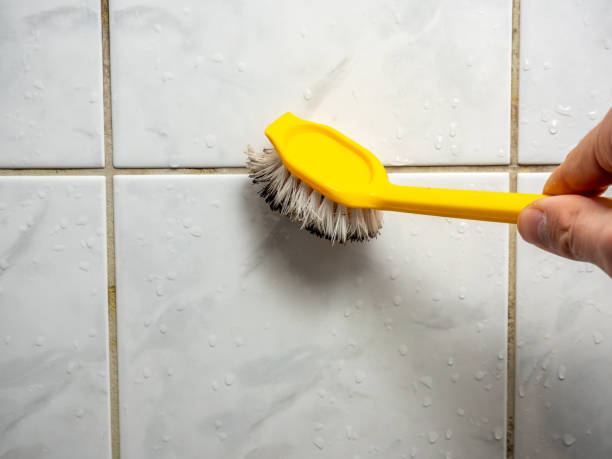 Best Mold Removal Near Me  in Leisure Village West, NJ