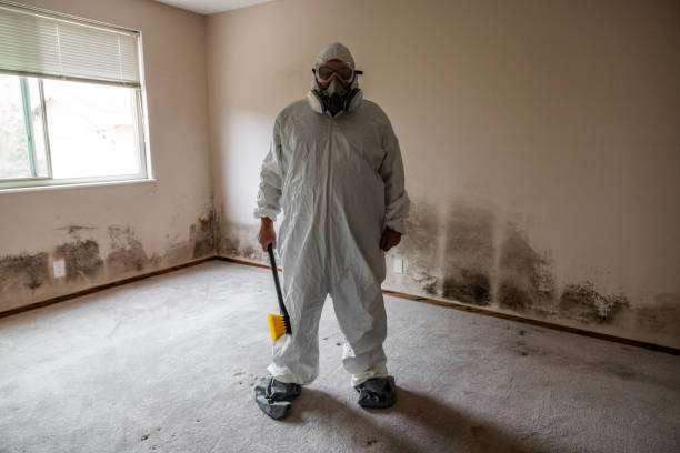 Home Mold Removal in Leisure Village West, NJ